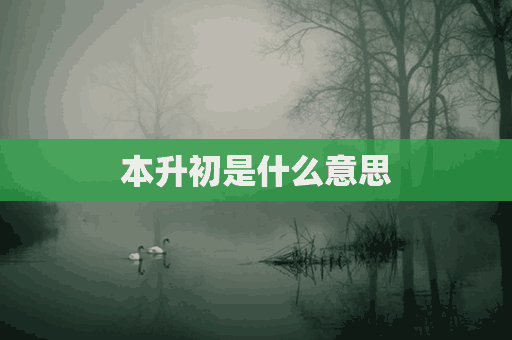 本升初是什么意思(本升本是什么意思)